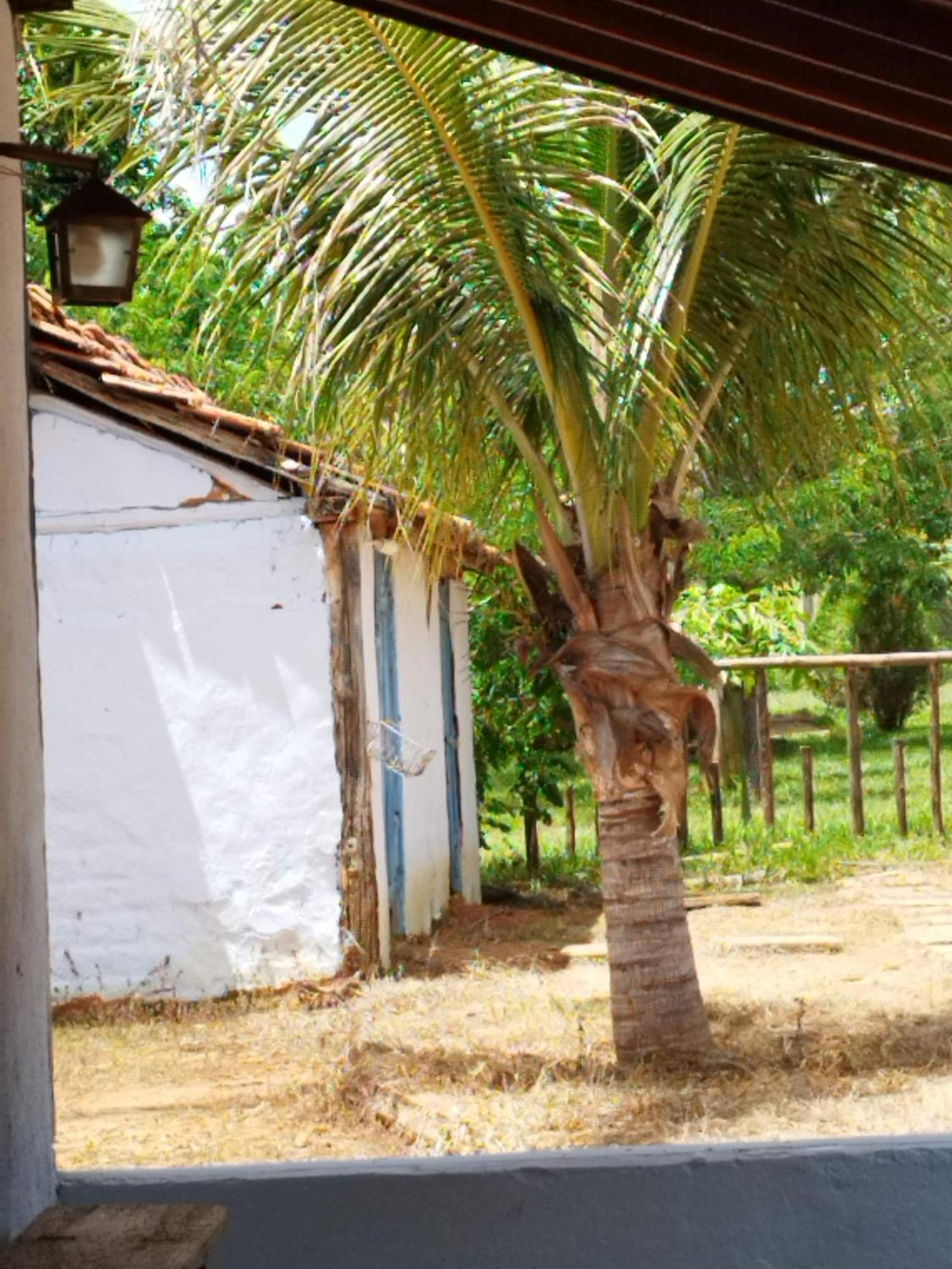 Fazenda Com Piscina E Churrasqueira Br-135 Proximo Curvelo Corinto E Morro Da Garca מראה חיצוני תמונה
